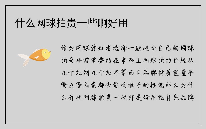 什么网球拍贵一些啊好用